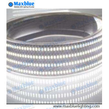 240LED / M SMD3014 LED Strip 1200LEDs 12 / 24VDC LED Light Strip